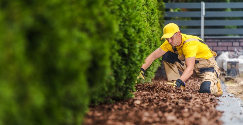 Brush Mulching