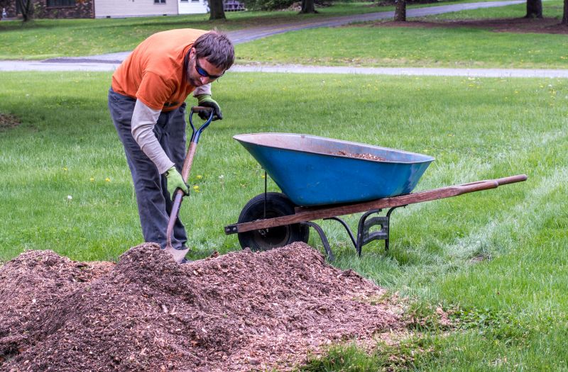 Brush Mulching