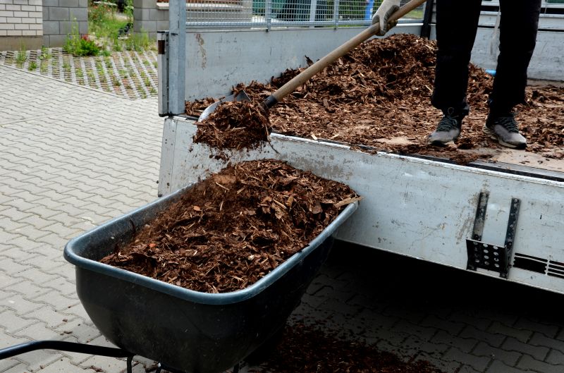Brush Mulching