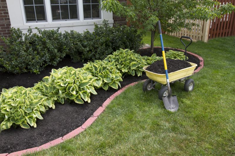 Brush Mulching
