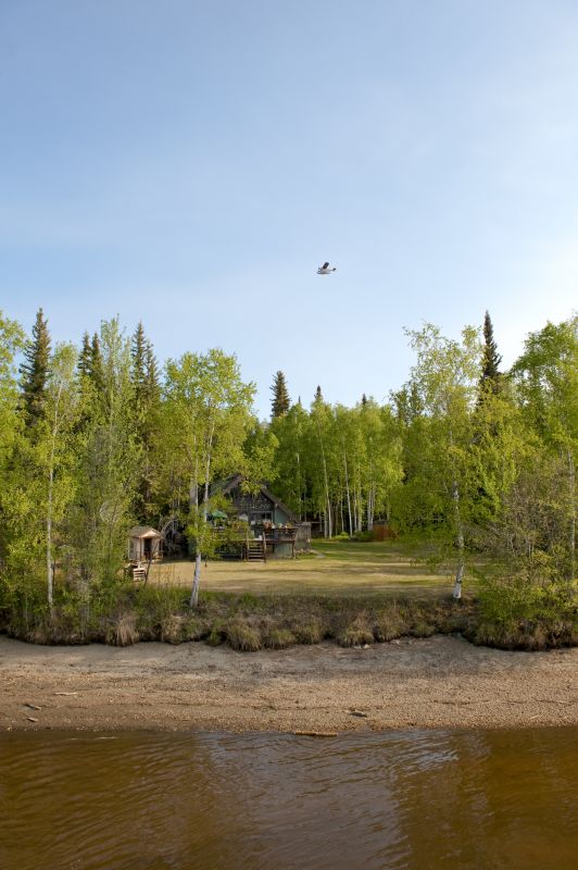 Forestry Clearing in Utah County, UT