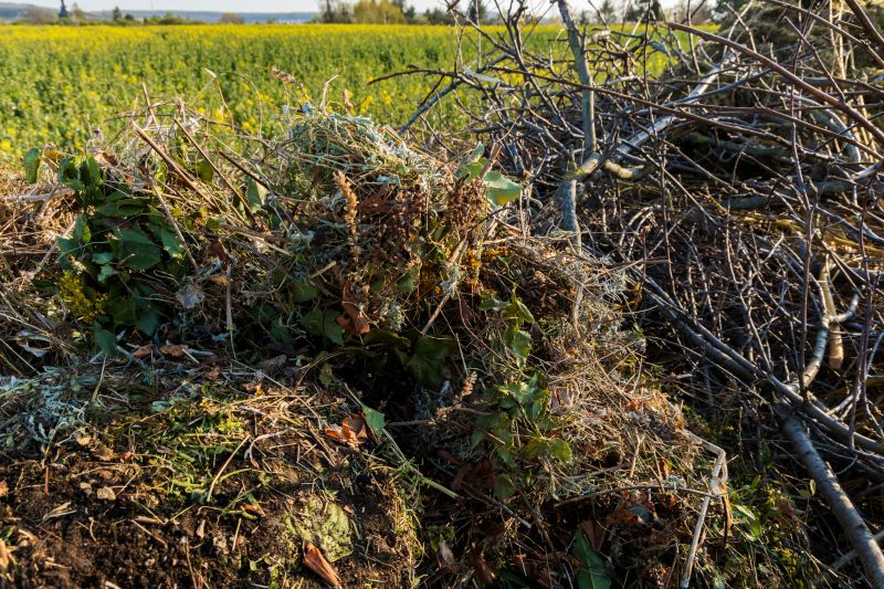 Products For Brush Mulchings in use