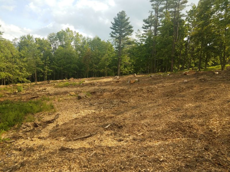 Mitigate Fire Risk With Professional Brush Mulching Service!